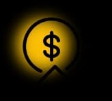 profit focus
